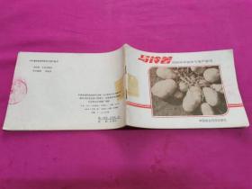 马铃薯阳畦保种留种与高产栽培  （1986年一版一印，横32开本连环画图文并茂）