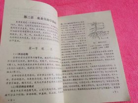 巨峰葡萄 （1988年一版一印）