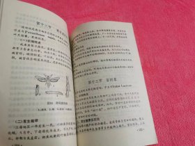 巨峰葡萄 （1988年一版一印）