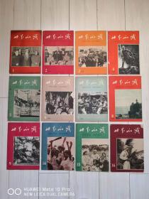 世界知识杂志 1964年 1、2、3、4、5、6、7、8、9、11（无皮不计数）、14、15、16、19、20、21、22、23、24；合计 18本 100元。可以单选 每本5元。