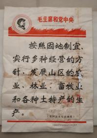 毛主席和党中央  关于社会主义农业和茶叶生产的指示  益阳地区革命委员会  **   茶叶  宣传标语  宣传画