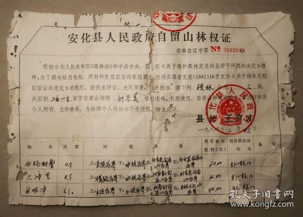 安化县人民政府自留山林权证   1982年  安化  林权证