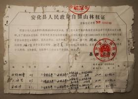 安化县人民政府自留山林权证   1982年  安化  林权证