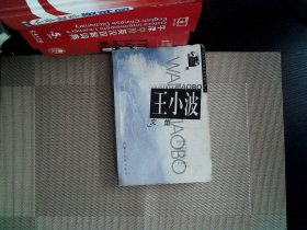 王小波文集