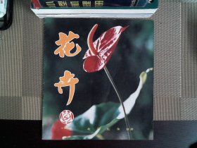 花卉 总第八期