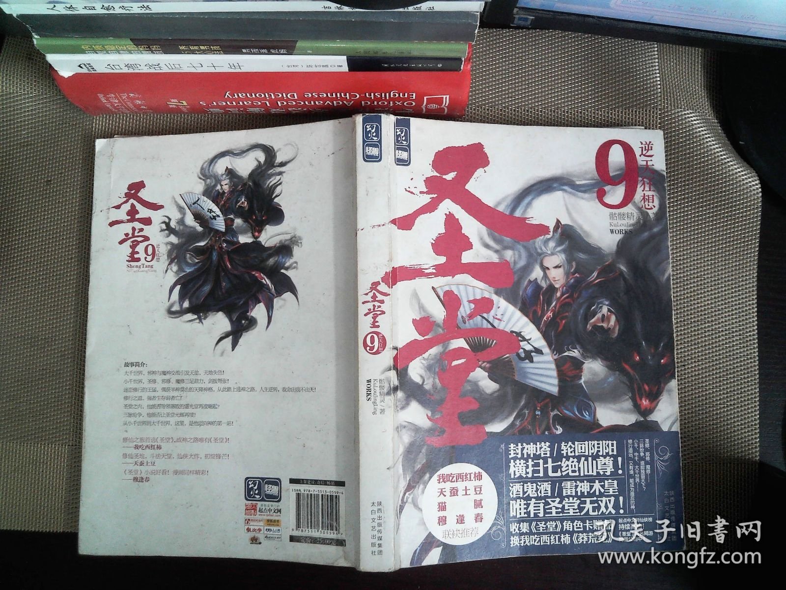 圣堂9·逆天狂想