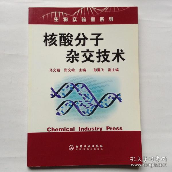 核酸分子杂交技术