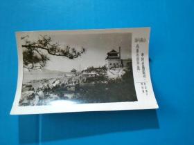 带最高指示老照片：青岛海产博物馆