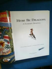 Here Be Dragons