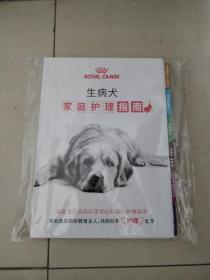 生病犬家庭护理指南