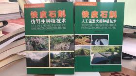 铁皮石斛仿野生种植技术 +人工温室大棚种植技术 朱恩灿  中国农业出版社 一套2本合售