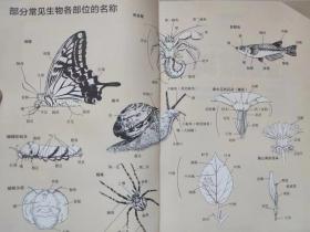 美好生活图鉴系列--趣味实验图鉴。探索隐藏在身边万物中的奥秘--【日】有泽重雄著 【日】月本佳代美绘 黄宝虹译。四川人民出版社。2019年1版。2020年2印