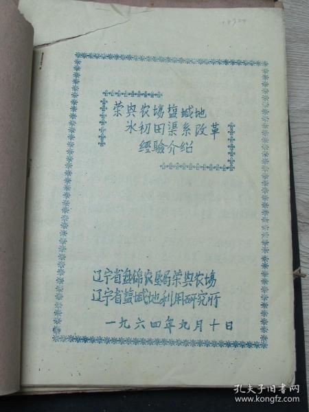 荣兴农场盐碱地水稻田渠系改革经验介绍