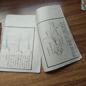 日本花道插花艺术书籍   华道本2册    日本插花