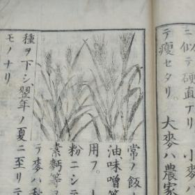 线装古籍    和刻本    《 普通读本》三编卷上   木刻版画   插图多    家畜  农作物  关于地球基本知识点
