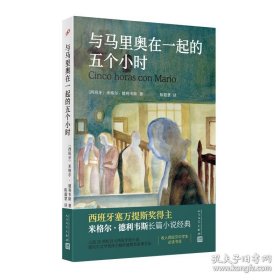 与马里奥在一起的五个小时