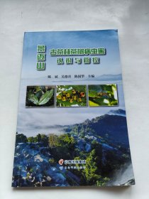 景迈山古茶林茶树病虫害认识与管控