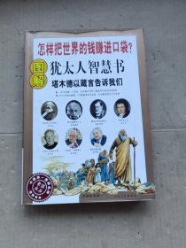 图解犹太人智慧书（2013全新图解版）