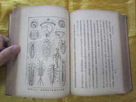 稀见民国老版精装本“汉译世界名著”《自然创造史》（插图本），Ernst Haeckel 著；冯君武 译，32开本，硬精装一厚册全。“商务印书馆”民国老版精装刊行。内附精美插图多幅，图文并茂，内容丰富。版本罕见，品如图。