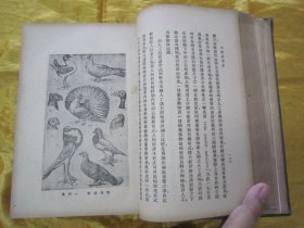 稀见民国老版精装本“汉译世界名著”《自然创造史》（插图本），Ernst Haeckel 著；冯君武 译，32开本，硬精装一厚册全。“商务印书馆”民国老版精装刊行。内附精美插图多幅，图文并茂，内容丰富。版本罕见，品如图。