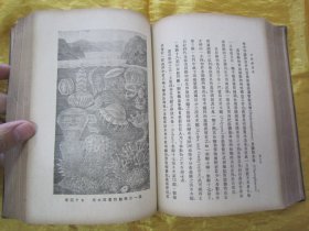 稀见民国老版精装本“汉译世界名著”《自然创造史》（插图本），Ernst Haeckel 著；冯君武 译，32开本，硬精装一厚册全。“商务印书馆”民国老版精装刊行。内附精美插图多幅，图文并茂，内容丰富。版本罕见，品如图。