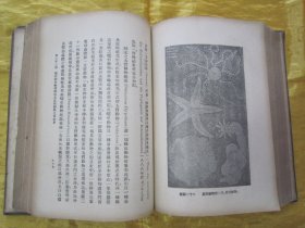 稀见民国老版精装本“汉译世界名著”《自然创造史》（插图本），Ernst Haeckel 著；冯君武 译，32开本，硬精装一厚册全。“商务印书馆”民国老版精装刊行。内附精美插图多幅，图文并茂，内容丰富。版本罕见，品如图。