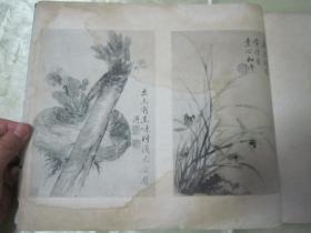 极稀见民国初版一印白纸线装“珂罗版精印美术作品图集”《蒋南沙蒋恒轩父子花卉合册》，16开大本白纸线装一册全。“上海慎修书社”民国二十二年（1933）七月，初版一印珂罗版精印刊行。内有精美书画作品多幅。版本罕见，品如图！