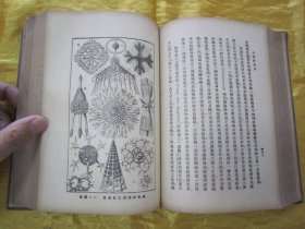 稀见民国老版精装本“汉译世界名著”《自然创造史》（插图本），Ernst Haeckel 著；冯君武 译，32开本，硬精装一厚册全。“商务印书馆”民国老版精装刊行。内附精美插图多幅，图文并茂，内容丰富。版本罕见，品如图。