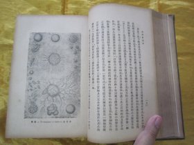 稀见民国老版精装本“汉译世界名著”《自然创造史》（插图本），Ernst Haeckel 著；冯君武 译，32开本，硬精装一厚册全。“商务印书馆”民国老版精装刊行。内附精美插图多幅，图文并茂，内容丰富。版本罕见，品如图。