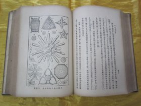 稀见民国老版精装本“汉译世界名著”《自然创造史》（插图本），Ernst Haeckel 著；冯君武 译，32开本，硬精装一厚册全。“商务印书馆”民国老版精装刊行。内附精美插图多幅，图文并茂，内容丰富。版本罕见，品如图。