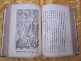 稀见民国老版精装本“汉译世界名著”《自然创造史》（插图本），Ernst Haeckel 著；冯君武 译，32开本，硬精装一厚册全。“商务印书馆”民国老版精装刊行。内附精美插图多幅，图文并茂，内容丰富。版本罕见，品如图。