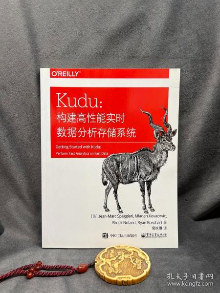 Kudu：构建高性能实时数据分析存储系统(博文视点出品)