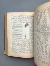 【压花皮脊精装 1906年原版 德文（我们以为德文，具体请看图）】BIBLISK ORDBOK （圣经辞典）