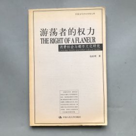 游荡者的权力：消费社会与都市文化研究