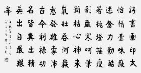 号楚布字书地人湖南湘潭人【杨向阳书法】