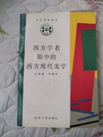 西方学者眼中的西方现代美学（文艺美学丛书）