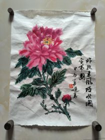 花卉画34