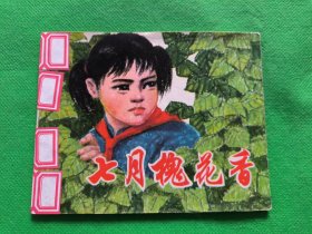 七月槐花香