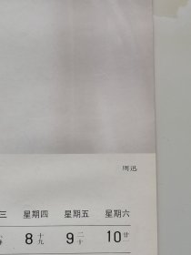 1993年明星挂历【花蕾】--陈红、周迅、朱京红、虞梦十二张全