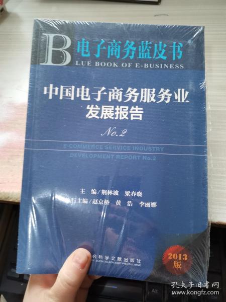 电子商务蓝皮书：中国电子商务服务业发展报告No.2（2013版）