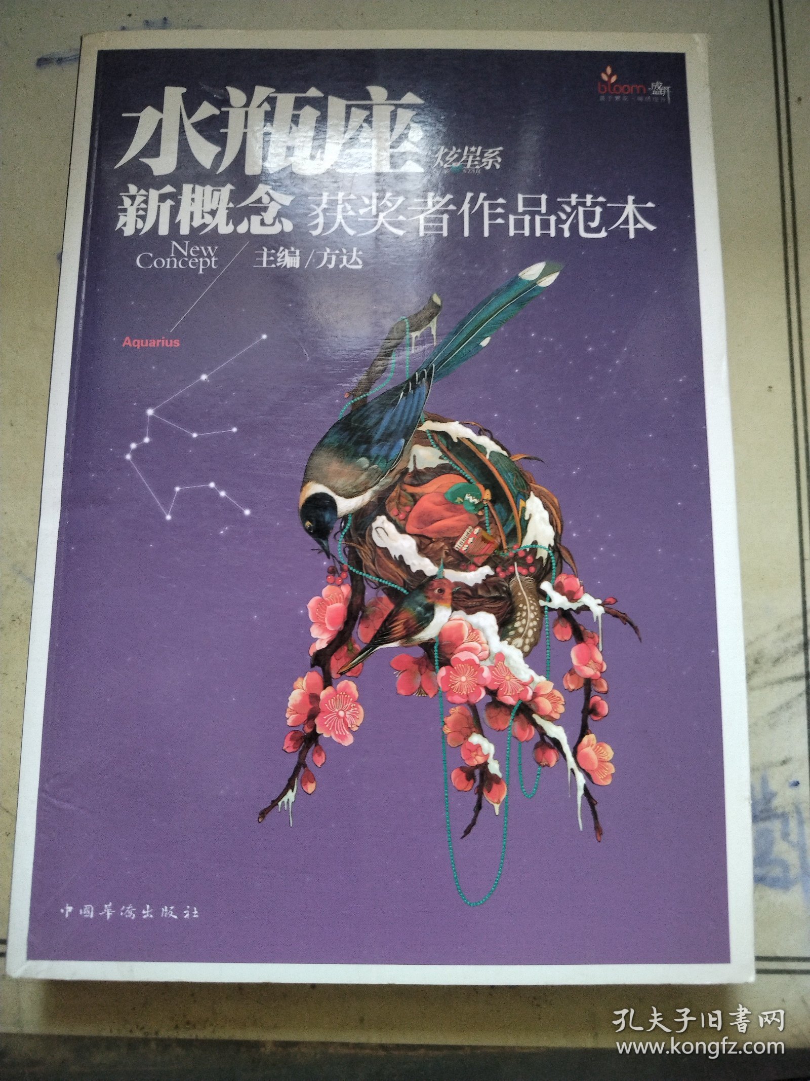 盛开·炫星系·新概念获奖者作品范本：水瓶座