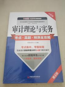 审计理论与实务考点 真题 预测全攻略