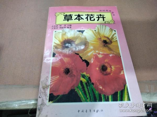 草本花卉