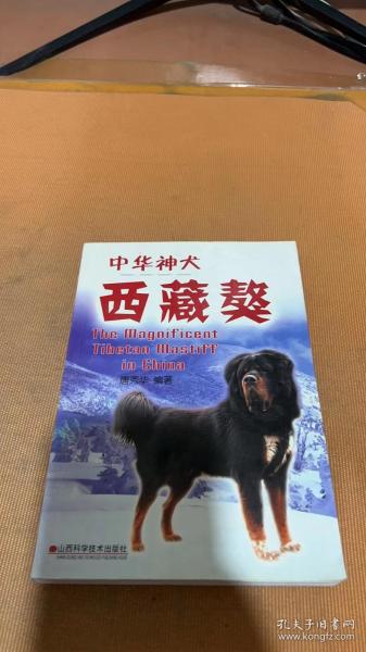 中华神犬——西藏獒