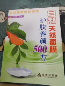 自制天然面膜护肤养顏500方