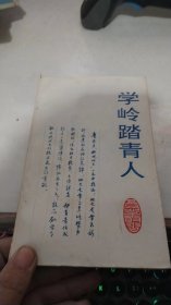 学岭踏青人