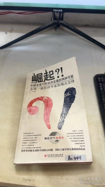 崛起?!：中国未来10年经济发展的两种可能