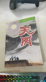 长篇纪实文学 天网