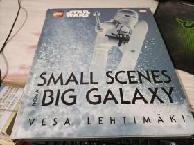 LEGO Star Wars Through a Lens 乐高：星战