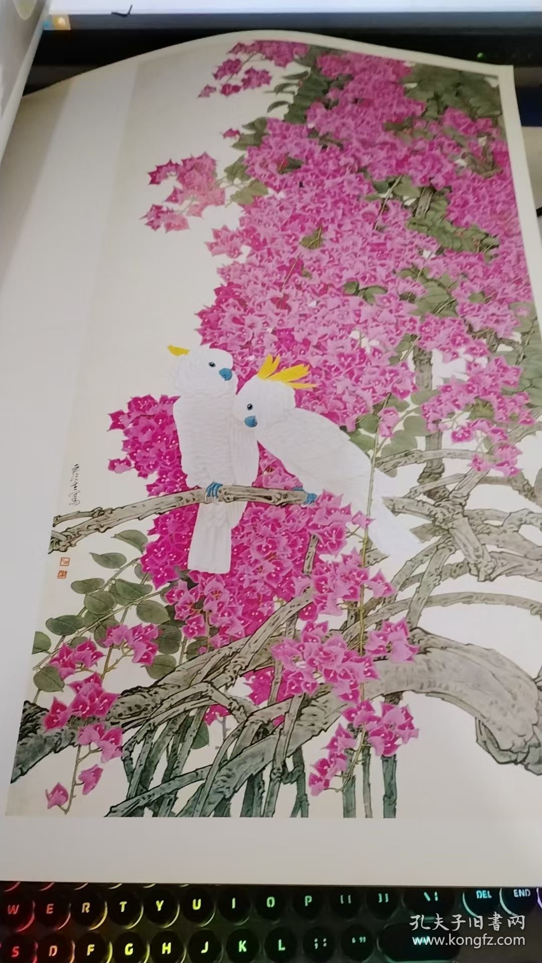 周彦生现代工笔花鸟